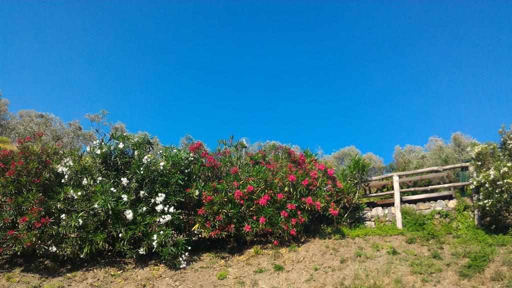 Agriturismo La Quiete Леванто Екстер'єр фото